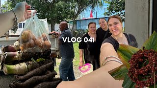 vlog 041: (tonga) visiting family + running errands