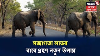 Sonitpurত বন্য়হস্তীৰ পৰা সজাগতা লাভৰ বাবে গ্ৰহণ নতুন উপায়