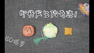 塔羅占卜: 即将发生的奇迹！12.24（无时限）