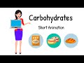 Carbohydrates | Short Animation