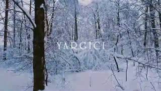 Curious About December? | Yargıcı