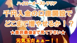 千円入金の口座開設で　どこまで増やせるか！？★是非最後まで見て下さい★