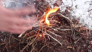 5 Bushcraft Skills EVERYONE Should Know (Knife, Fire, Shelter, Wild Edibles)
