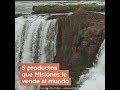 5 COSAS QUE NO SABÍAS QUE MISIONES LE VENDE AL MUNDO