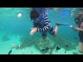 沖縄本島北部【本部町】ビーチシュノーケリング🐠🐡🐠