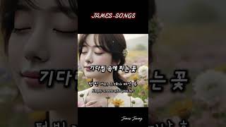 [트로트] 기다림 속에 피는 꽃(A flower that blooms amidst waiting) #기다림, #그리움, #사랑, #추억,#love, #최신곡,#최신노래,#뮤직비디오