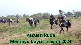 pacuan kuda memayu buyut trusmi 2024