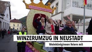 Winzerumzug in Neustadt | RON TV