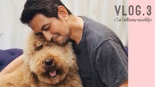 โอ้ย.. ออกงานเก่ง! มาดูโคโค่ออกงานและอาการตอนที่ปะป๊าต้องไปต่างประเทศ | COCO VLOG.3