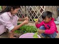 seyhak pick pea eggplant with grandma for cooking prepare food for family lunch