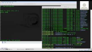 213 Python: Part III