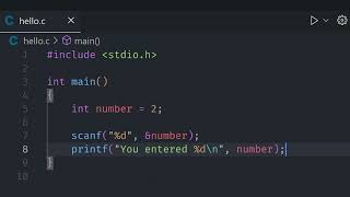 Learn C Part 3 | INPUT using scanf()!!!