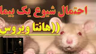 #هانتا#ویروس  🦠Hantavirus  ایا ویروس هانتا کشنده تراز کرونا است؟!