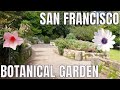 The San Francisco Botanical Garden