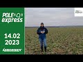 Nawożenie rzepaku w lutym - POLE express Agrosimex