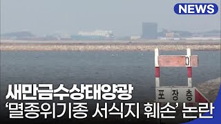 새만금수상태양광, ‘멸종위기종 서식지 훼손’ 논란까지 / KBS 2021.03.09.