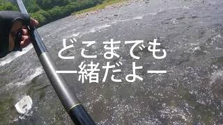 [つりよか] 四万十川三島でも ドツボった よくやった？ Shimanto Mishima, crazy no Ayu fishing