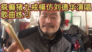 疯癫猪九戒模仿刘德华演唱歌曲练习