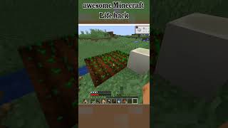 Minecraft Super low probability bug-like specs 1.19.3 #shorts