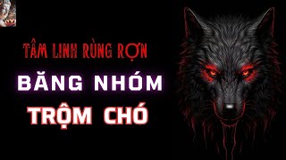 Chuyện Tâm Linh Băng Nhóm Trộm Chó
