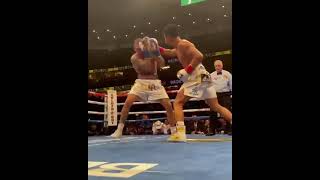 JAIME MUNGUIA | FORMER WBO SUPER WELTERWEIGHT CHAMPION OF THE WORLD | KNOCKOUT A