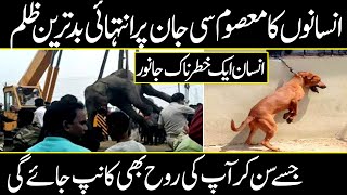 When a Human Become an animal | Urdu Cover