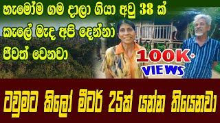 හැමෝම ගම දාලා ගියා අවු 38ක් කැලේ මැද අපි දෙන්නා ජීවත් වෙනවා | කැලේ මැද තනි වු තවත් ගමක කතාවක්