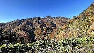 雨飾山麓紅葉情報10/20