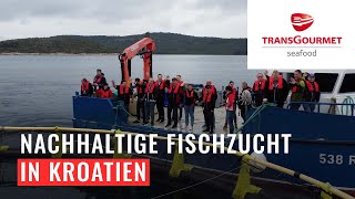 Nachhaltige Fischzucht in Kroatien