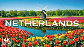 Netherlands 4K - Relaxing Music With Beautiful Natural Landscape - Amazing Nature