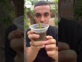 عمرك زرعت التين الشوكي زراعة gardening plant اكسبلور زراعة_التين اكسبلور