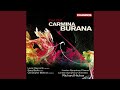 Carmina Burana, III. Cour d'amours: VI. Veni, veni, venias