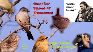 Birding Big Year Update: Winter Wren-demption!