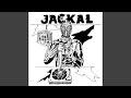 Jackal