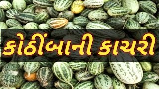 કોઠીંબાની કાચરી