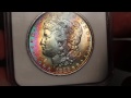 coinguy ep 9 1886 morgan silver dollar ngc ms63 star *vibrant rainbow toning *