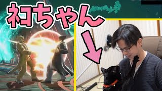 てぃーキャットマン、出現シーン【スマブラSP】