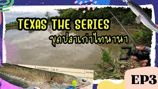 Texas The Series EP3 : ขุดปลาเก่า ไทนานาด้วย Texas ไม่ยาก อย่างที่คิด ถ้ามือไม่นิ่ม รวยยยย #ไทนานา