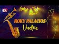 Koky Palacios -  Vuelve (Visualizer Oficial )