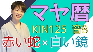 マヤ暦【KIN 125】赤い蛇 白い鏡 音8 「ヨガをはじめたきっかけは？」開運ポイント