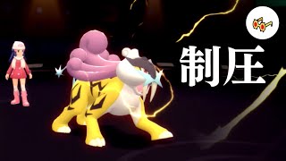 【ポケモンBDSP】今年の主人公。眼鏡ライコウの火力とスピードで相手を制圧【ゆっくり実況】