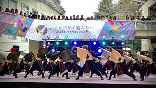 【公式】踊り侍 19 大和　早稲田祭2019 戸山カフェテリアステージ　(1回目) Odorisamurai 2019 \