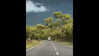 Masinagudi to Ooty Road Trip  #wildlife #travel #travel_With_decopzz