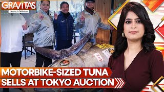 Motorbike-Sized Tuna Sold to Sushi Restaurateurs In Japan for $1.3M | GRAVITAS