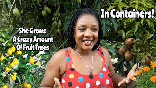 She Grows A Crazy Amount Of Fruit Trees In Containers||SUPER PRODUCTIVE FOOD FOREST