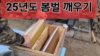 20250118 봄벌깨우는 방법