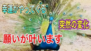 【楽法寺】【雨引観音】この動画を見た後に幸運がやってきます。恋愛運、仕事運、金運、健康運アップ！【癒し動画】