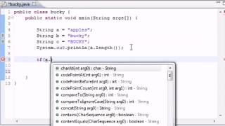 Java Programming Tutorial 87 Series Finale