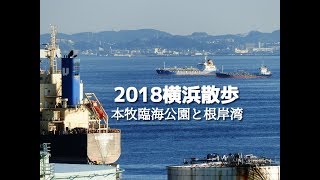 本牧臨海公園と根岸湾（2018年横浜散歩）