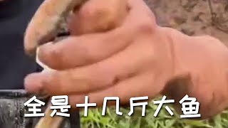 【戶外捕魚VLOG】南豐兄弟Vlog花2600包下一個叔叔沒時間管理的魚塘，塘主竟然說裏面全是十幾斤大魚#原來釣魚才是運